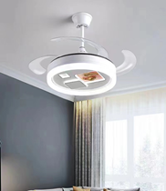 LED Fan Light