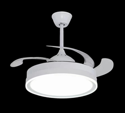 LED Fan Light