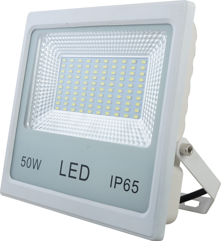 LED Flood Light (Z Series)