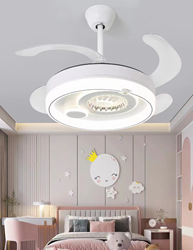 LED Fan Light