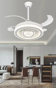LED Fan Light