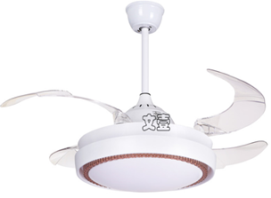 LED Fan Light