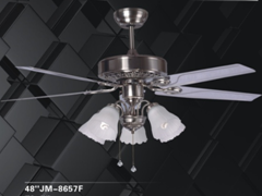 Traditional Fan Ligth