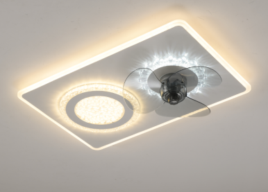 No Move head Bedroom Fan Light