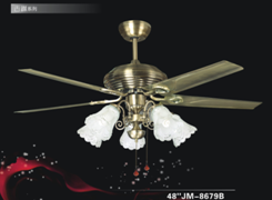 Traditional Fan Ligth