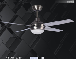 Traditional Fan Ligth