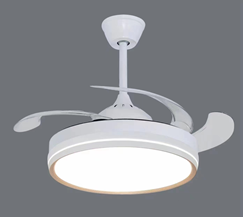 LED Fan Light