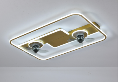 No Move head Bedroom Fan Light