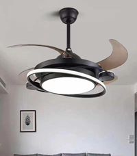 LED Fan Light