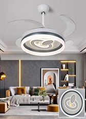 LED Fan Light